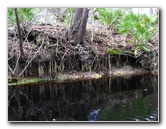 Sante-Fe-River-High-Springs-Florida-072