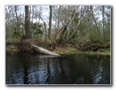 Sante-Fe-River-High-Springs-Florida-073