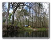 Sante-Fe-River-High-Springs-Florida-075