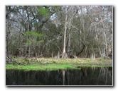 Sante-Fe-River-High-Springs-Florida-078