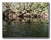 Sante-Fe-River-High-Springs-Florida-081