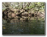 Sante-Fe-River-High-Springs-Florida-081