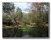 Sante-Fe-River-High-Springs-Florida-083