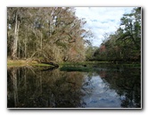 Sante-Fe-River-High-Springs-Florida-090