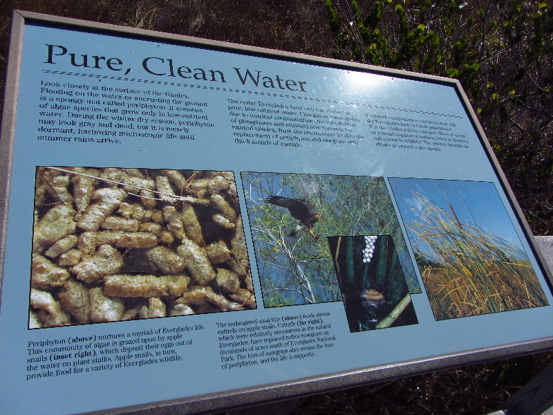 Shark-Valley-Visitor-Center-Everglades-National-Park-Miami-FL-007