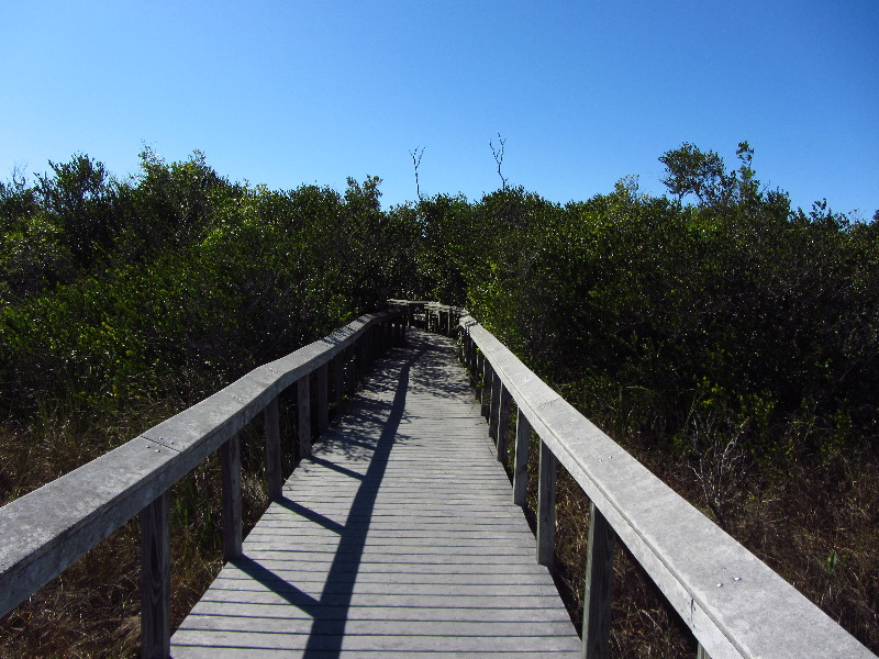 Shark-Valley-Visitor-Center-Everglades-National-Park-Miami-FL-008