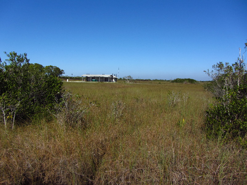 Shark-Valley-Visitor-Center-Everglades-National-Park-Miami-FL-010