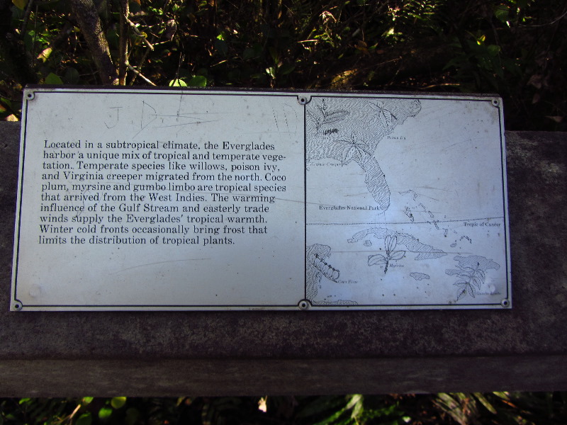 Shark-Valley-Visitor-Center-Everglades-National-Park-Miami-FL-011