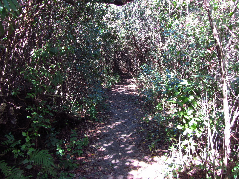 Shark-Valley-Visitor-Center-Everglades-National-Park-Miami-FL-031