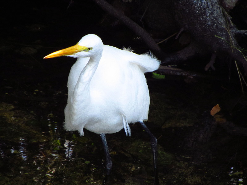 Shark-Valley-Visitor-Center-Everglades-National-Park-Miami-FL-038