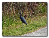 Shark-Valley-Visitor-Center-Everglades-National-Park-Miami-FL-002