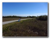 Shark-Valley-Visitor-Center-Everglades-National-Park-Miami-FL-006