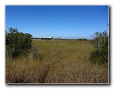 Shark-Valley-Visitor-Center-Everglades-National-Park-Miami-FL-010