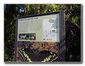 Shark-Valley-Visitor-Center-Everglades-National-Park-Miami-FL-014