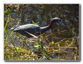 Shark-Valley-Visitor-Center-Everglades-National-Park-Miami-FL-018