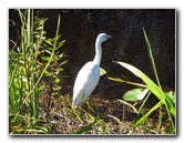 Shark-Valley-Visitor-Center-Everglades-National-Park-Miami-FL-021