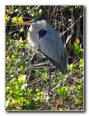 Shark-Valley-Visitor-Center-Everglades-National-Park-Miami-FL-022