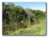 Shark-Valley-Visitor-Center-Everglades-National-Park-Miami-FL-028