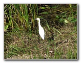 Shark-Valley-Visitor-Center-Everglades-National-Park-Miami-FL-029