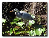 Shark-Valley-Visitor-Center-Everglades-National-Park-Miami-FL-036