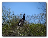 Shark-Valley-Visitor-Center-Everglades-National-Park-Miami-FL-037