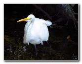 Shark-Valley-Visitor-Center-Everglades-National-Park-Miami-FL-038