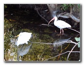 Shark-Valley-Visitor-Center-Everglades-National-Park-Miami-FL-039