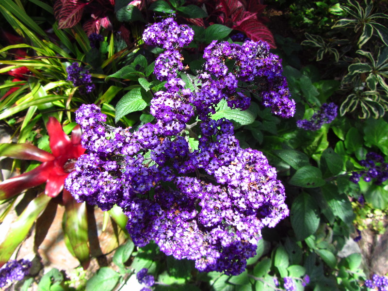 Sherman-Library-and-Gardens-Corona-Del-Mar-Orange-County-CA-005