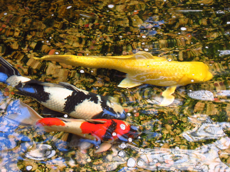 Sherman-Library-and-Gardens-Corona-Del-Mar-Orange-County-CA-019