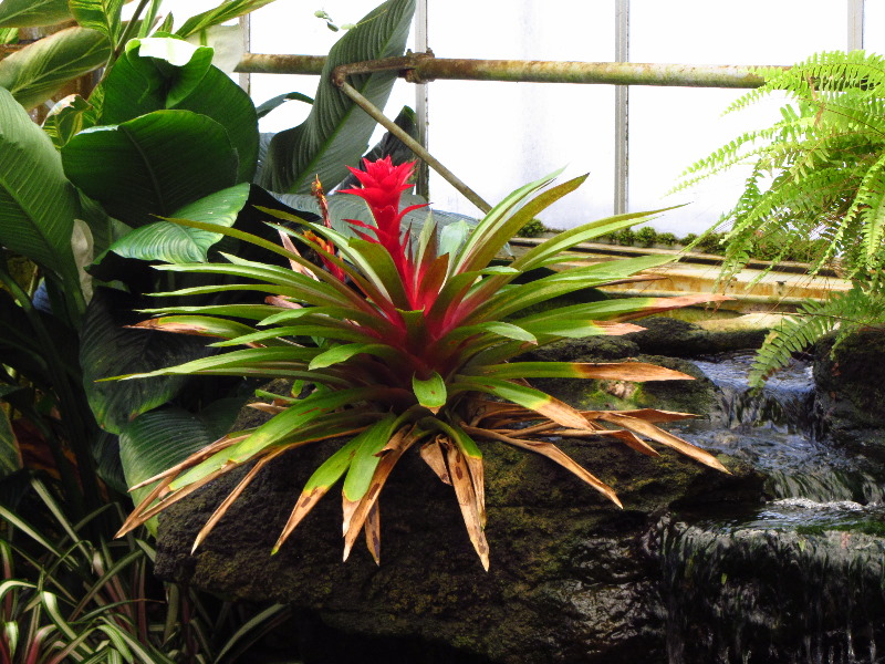 Sherman-Library-and-Gardens-Corona-Del-Mar-Orange-County-CA-020