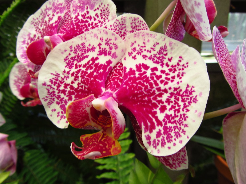 Sherman-Library-and-Gardens-Corona-Del-Mar-Orange-County-CA-033