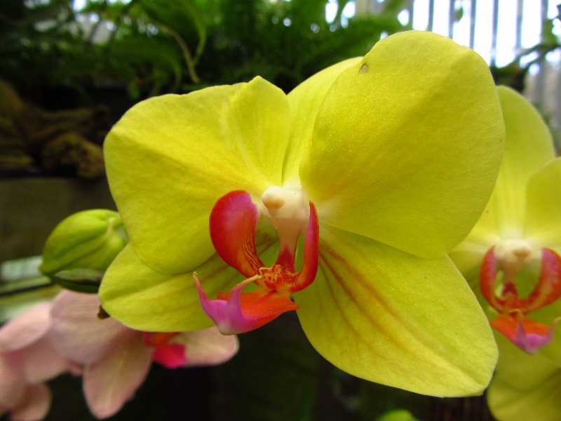 Sherman-Library-and-Gardens-Corona-Del-Mar-Orange-County-CA-034