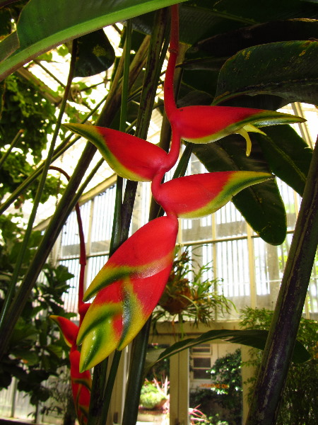 Sherman-Library-and-Gardens-Corona-Del-Mar-Orange-County-CA-037