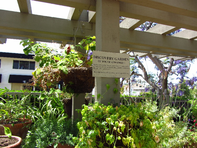 Sherman-Library-and-Gardens-Corona-Del-Mar-Orange-County-CA-040