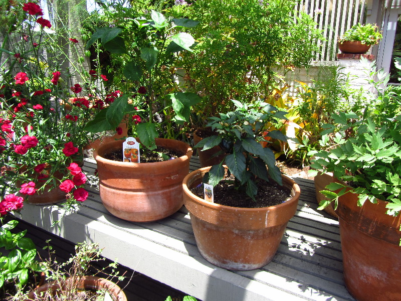 Sherman-Library-and-Gardens-Corona-Del-Mar-Orange-County-CA-045