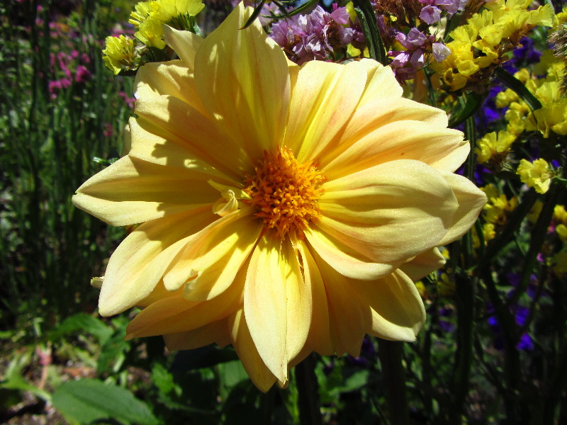 Sherman-Library-and-Gardens-Corona-Del-Mar-Orange-County-CA-058