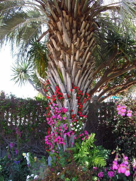 Sherman-Library-and-Gardens-Corona-Del-Mar-Orange-County-CA-061