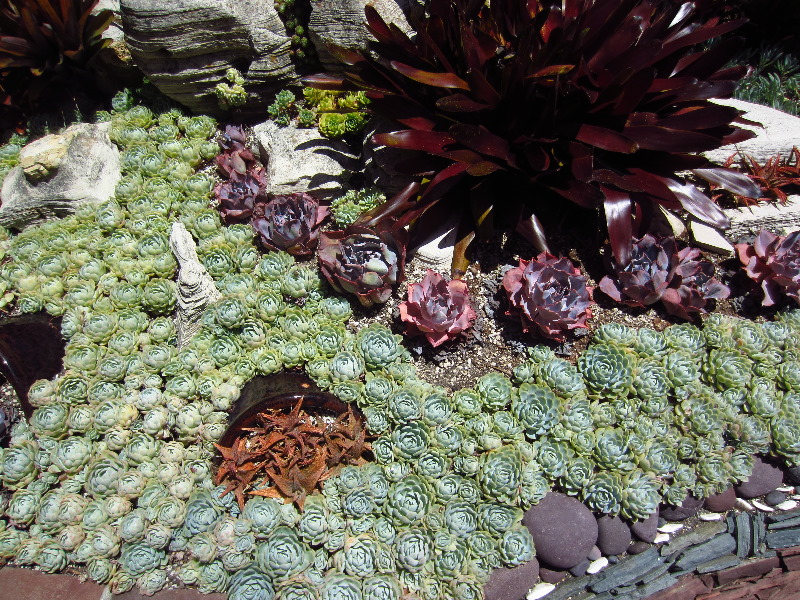 Sherman-Library-and-Gardens-Corona-Del-Mar-Orange-County-CA-066