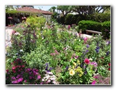 Sherman-Library-and-Gardens-Corona-Del-Mar-Orange-County-CA-056