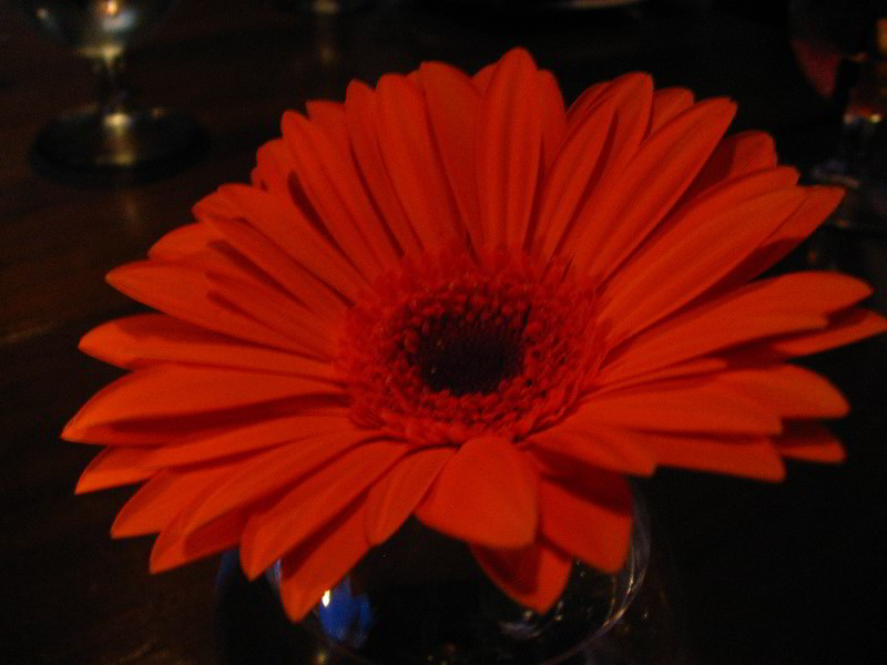 Sol-Y-Sombra-Spanish-Kitchen-Scottsdale-AZ-003