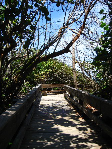 South-Beach-Park-Boca-Raton-FL-001