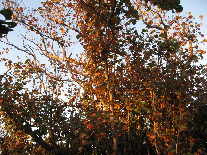 South-Beach-Park-Boca-Raton-FL-008