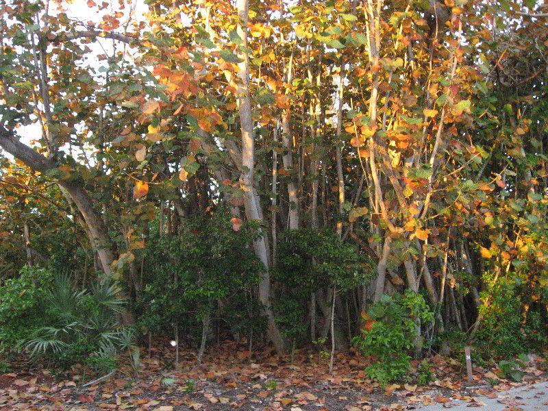 South-Beach-Park-Boca-Raton-FL-009