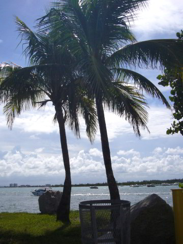 South-Beach-Pictures-Miami-Beach-FL-013
