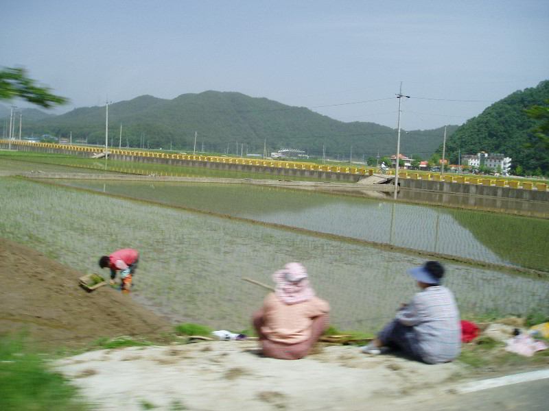 South-Korea-Vacation-07-039