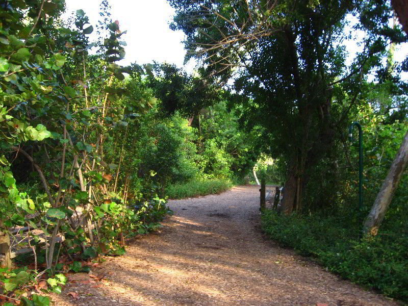 Spanish-River-Park-Boca-Raton-FL-016