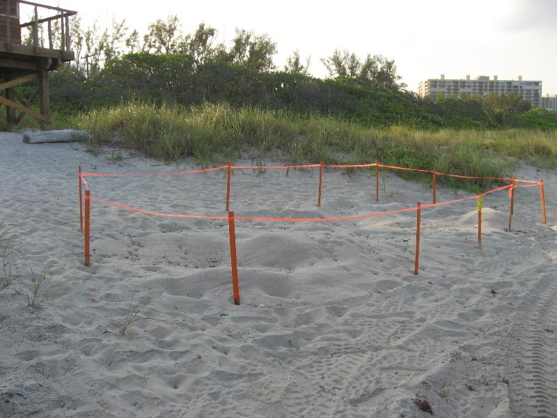 Spanish-River-Park-Boca-Raton-FL-046