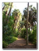 Spanish-River-Park-Boca-Raton-FL-004