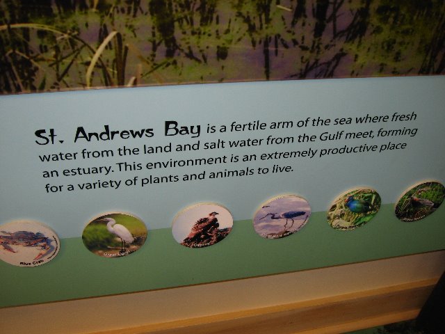 Saint-Andrews-State-Park-Panama-City-Beach-FL-0029
