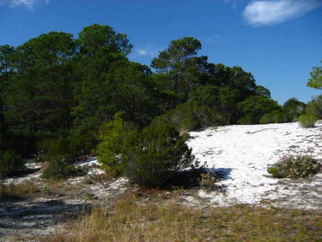 Saint-Andrews-State-Park-Panama-City-Beach-FL-0058